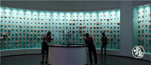 1622972242980646.jpg 16.jpg