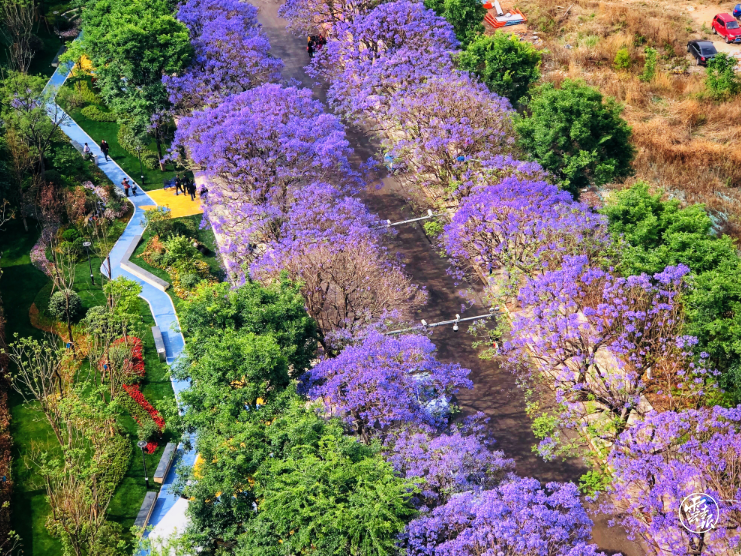 1622972248456282.png 17.png