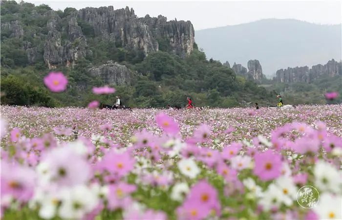 1622972267326415.jpg 19.jpg