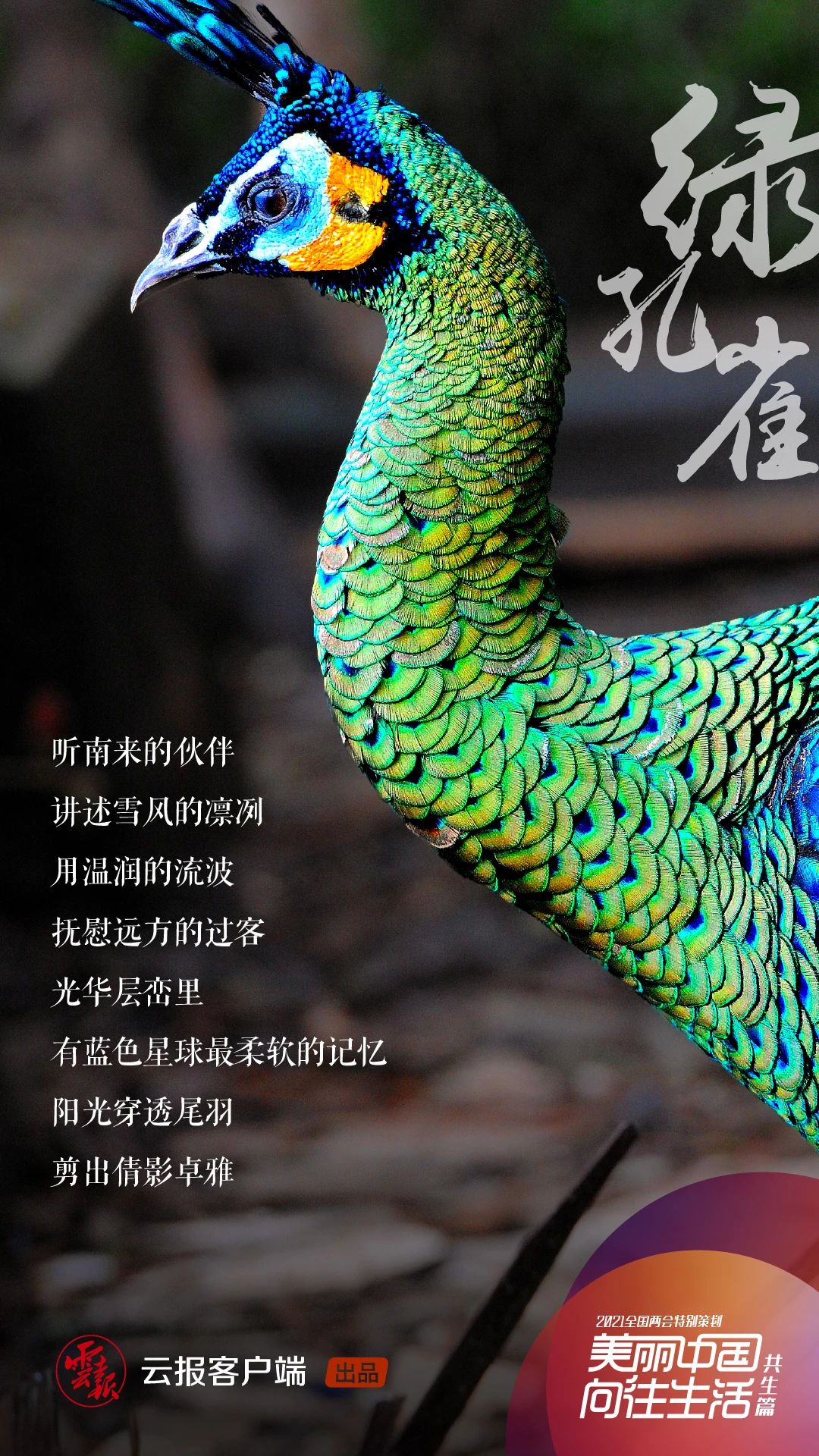 1622972281464843.jpg 20.jpg