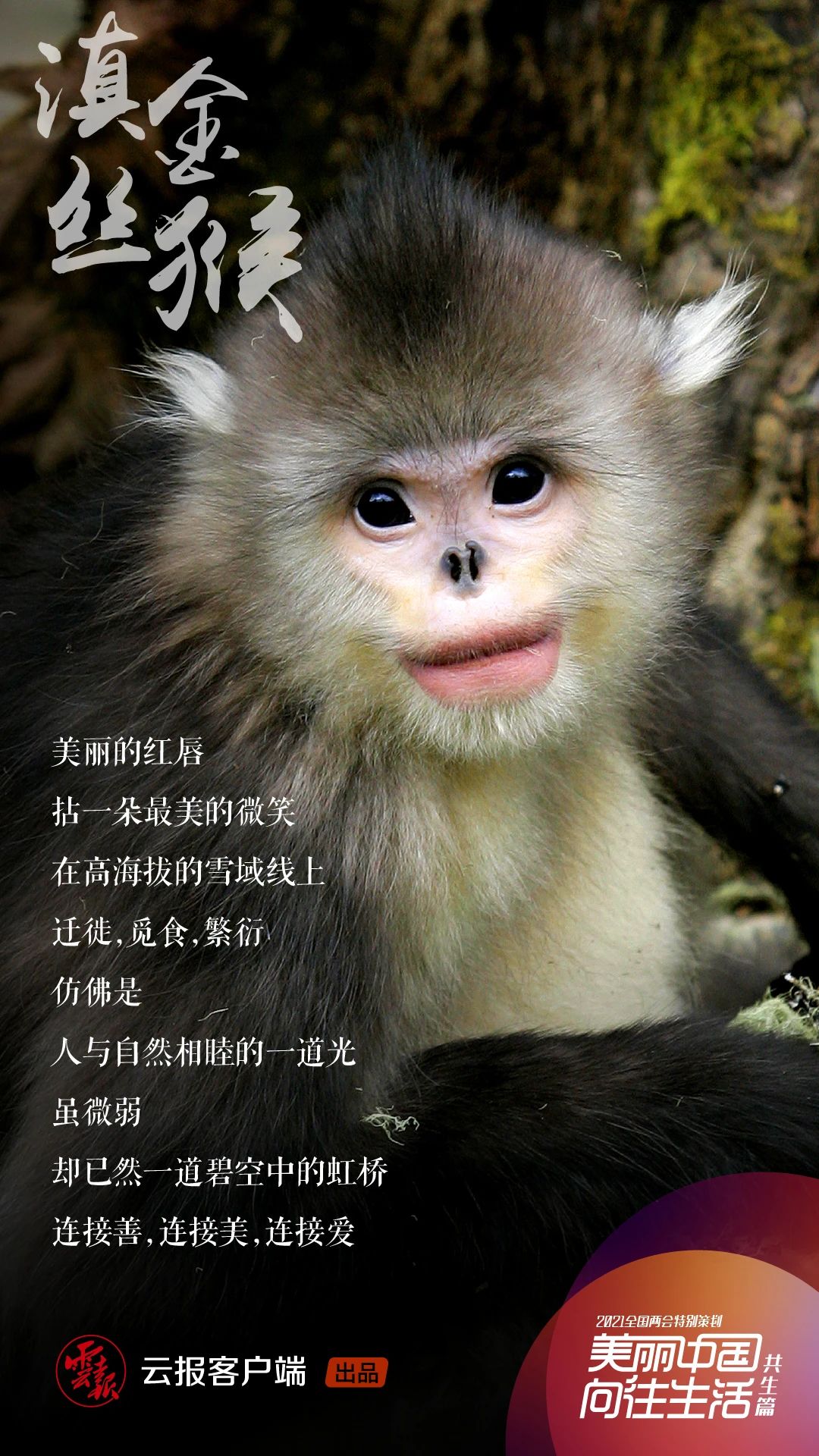 1622972292435294.jpg 21.jpg