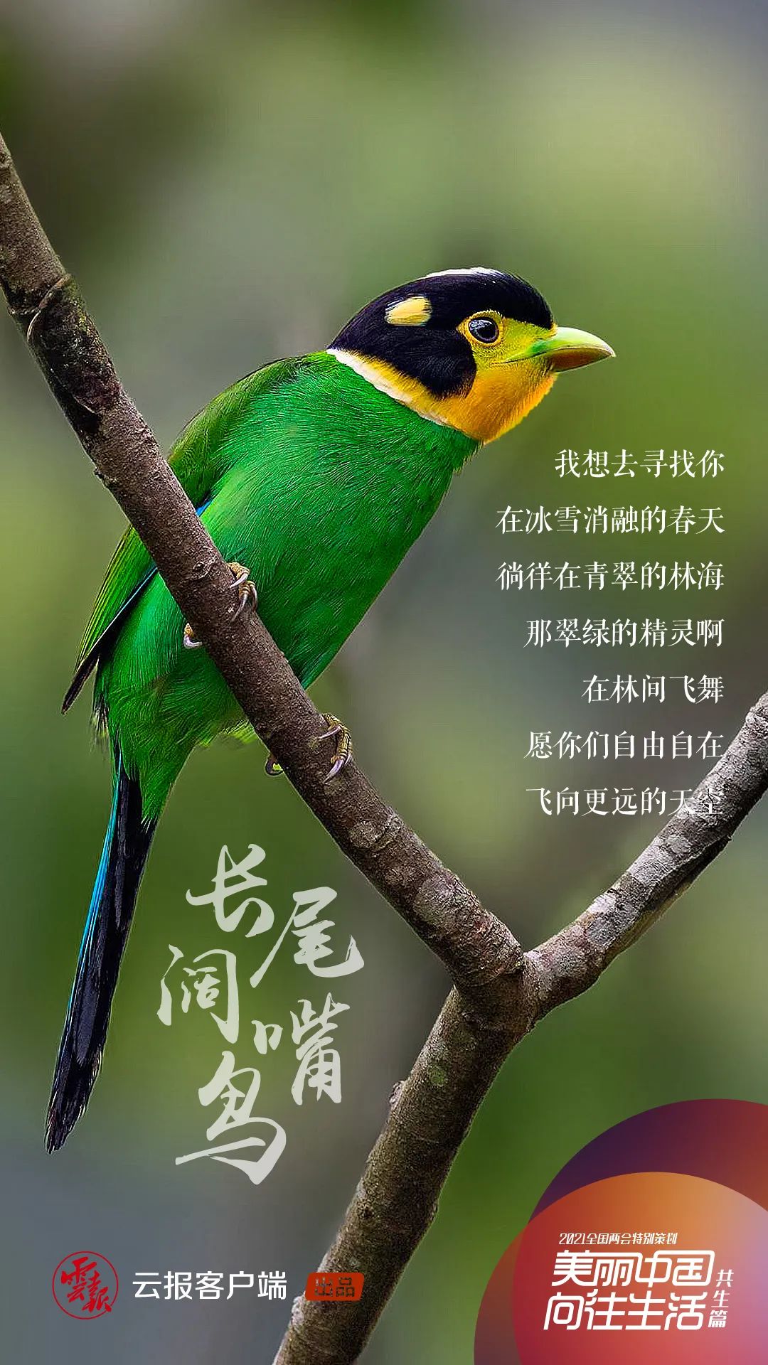 1622972314419603.jpg 23.jpg