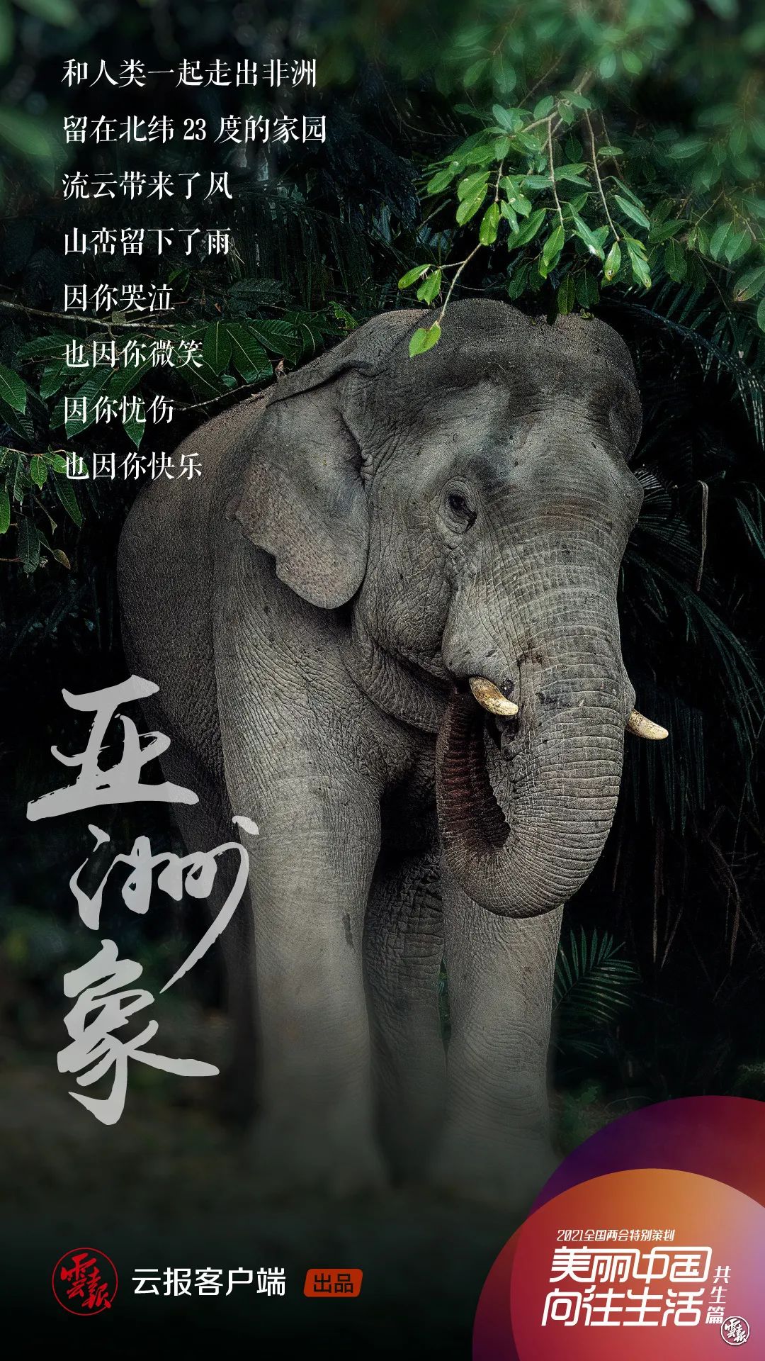 1622972320727387.jpg 24.jpg