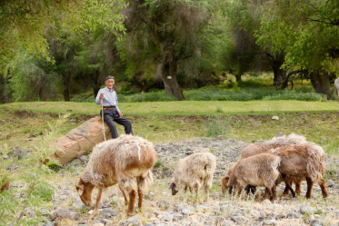 1623203096170065.png 改】打造优质农产品品牌 京东618助力农民增收与消费升级正循环(1)889.png
