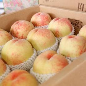 1623203109497168.png 改】打造优质农产品品牌 京东618助力农民增收与消费升级正循环(1)1467.png