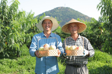 1623203115385014.png 改】打造优质农产品品牌 京东618助力农民增收与消费升级正循环(1)1611.png