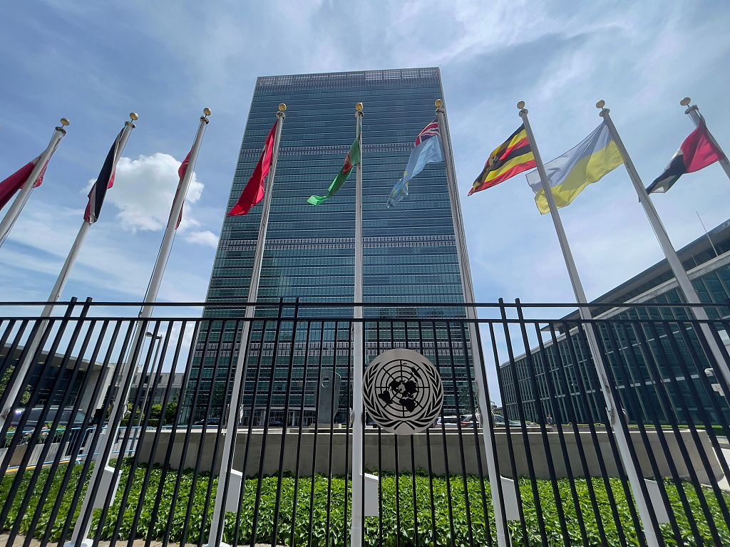 阿尔巴尼亚等五国当选联合国安理会非常任理事国
