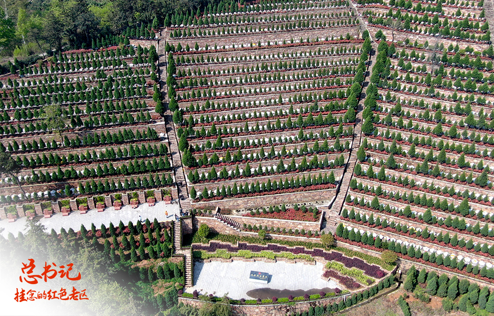 1633681390758612.jpg 1633681390758612.jpg