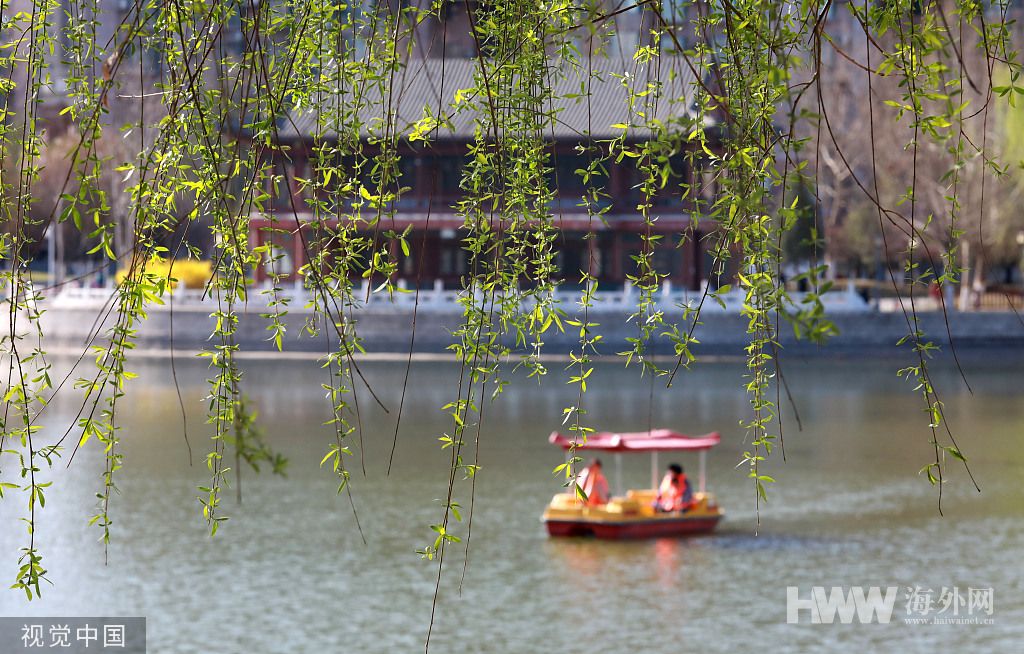 柳绿花红是什么意思