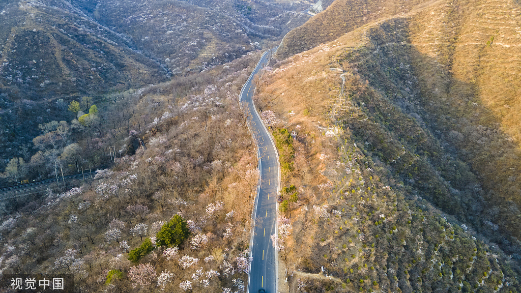 北京：京郊“最美公路”昌赤路繁花似锦 车辆如在花海中行驶