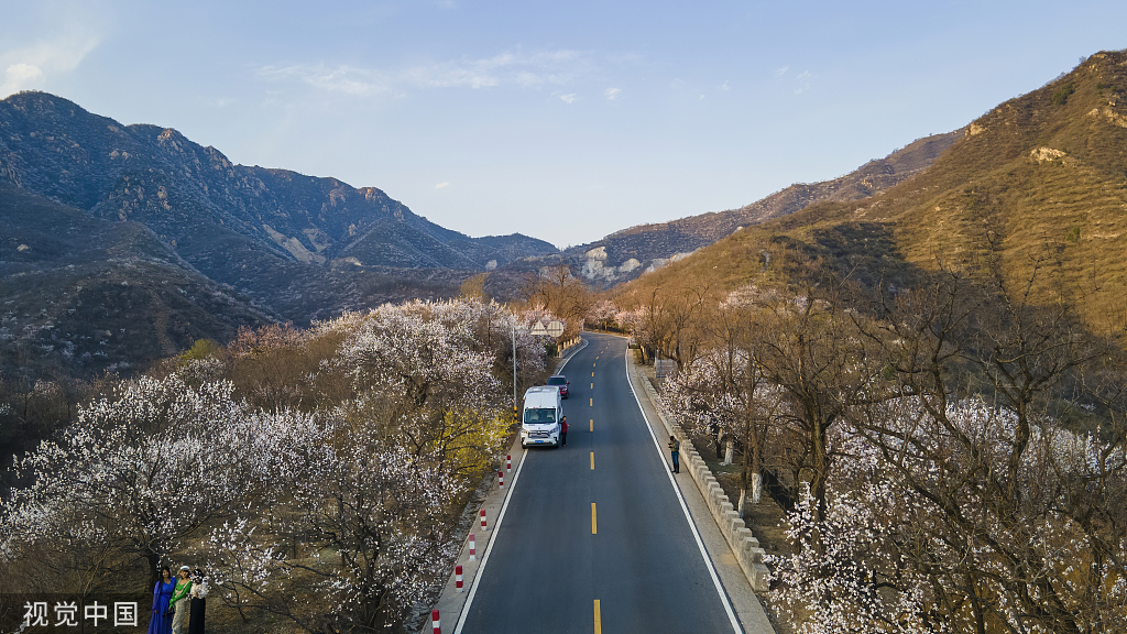 北京：京郊“最美公路”昌赤路繁花似锦 车辆如在花海中行驶