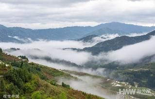 贵州从江：梯田蓄水丰盈 云海轻薄如纱