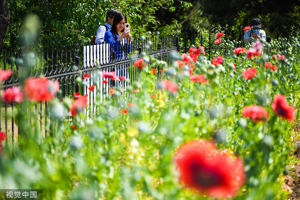 北京：国家植物园正式揭牌 四时风光绚丽多姿