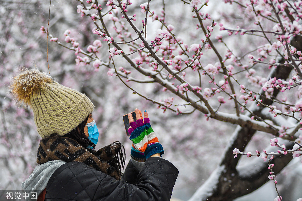 北京：国家植物园正式揭牌 四时风光绚丽多姿