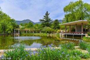 北京：国家植物园正式揭牌 四时风光绚丽多姿