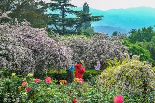 北京：国家植物园正式揭牌 四时风光绚丽多姿