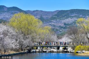 北京：国家植物园正式揭牌 四时风光绚丽多姿