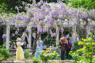 北京：国家植物园正式揭牌 四时风光绚丽多姿