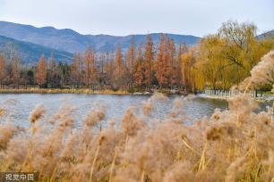 北京：国家植物园正式揭牌 四时风光绚丽多姿