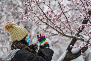 北京：国家植物园正式揭牌 四时风光绚丽多姿