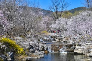 北京：国家植物园正式揭牌 四时风光绚丽多姿