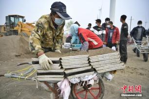 天津首次规模化试种袁隆平团队“超级耐盐碱巨型稻”