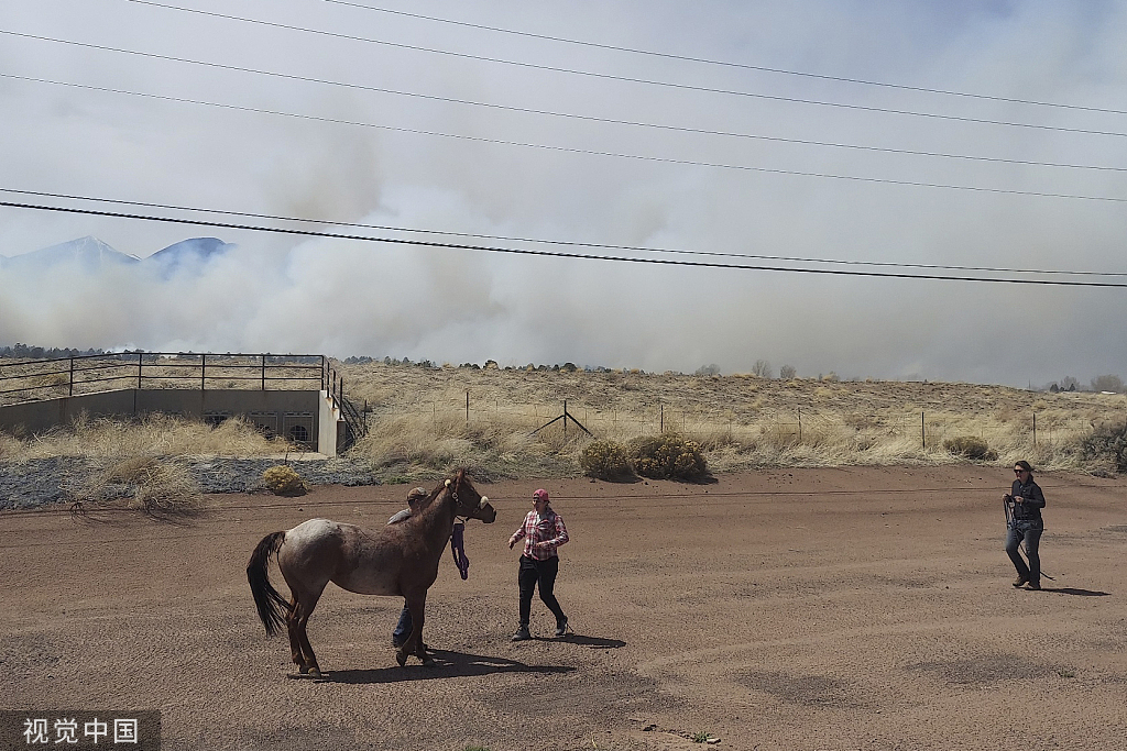 美国西南部遭大规模野火侵袭 当局发布疏散令