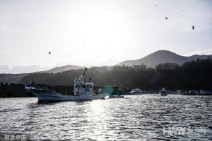北海道失联观光船确认11人死亡 仍有15人失踪