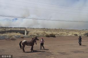 美国西南部遭大规模野火侵袭 当局发布疏散令