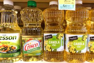 印尼出口禁令助推国际植物油价格上涨