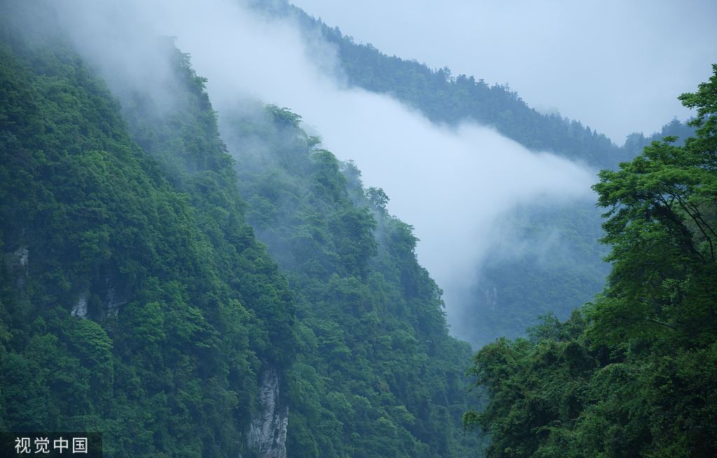 湖北恩施：贡水河国家湿地公园云雾缥缈