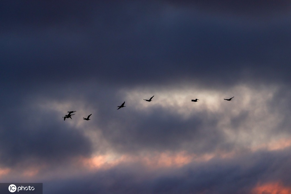 美国纽约日出 空中现壮丽云朵景观