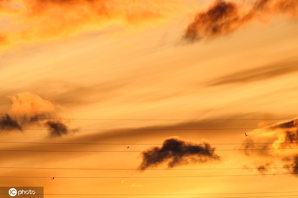 美国纽约日出 空中现壮丽云朵景观