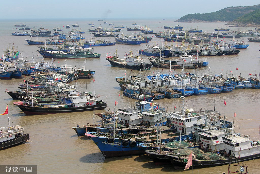 浙江台州：大批渔船回港休渔