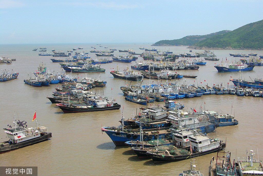 浙江台州：大批渔船回港休渔