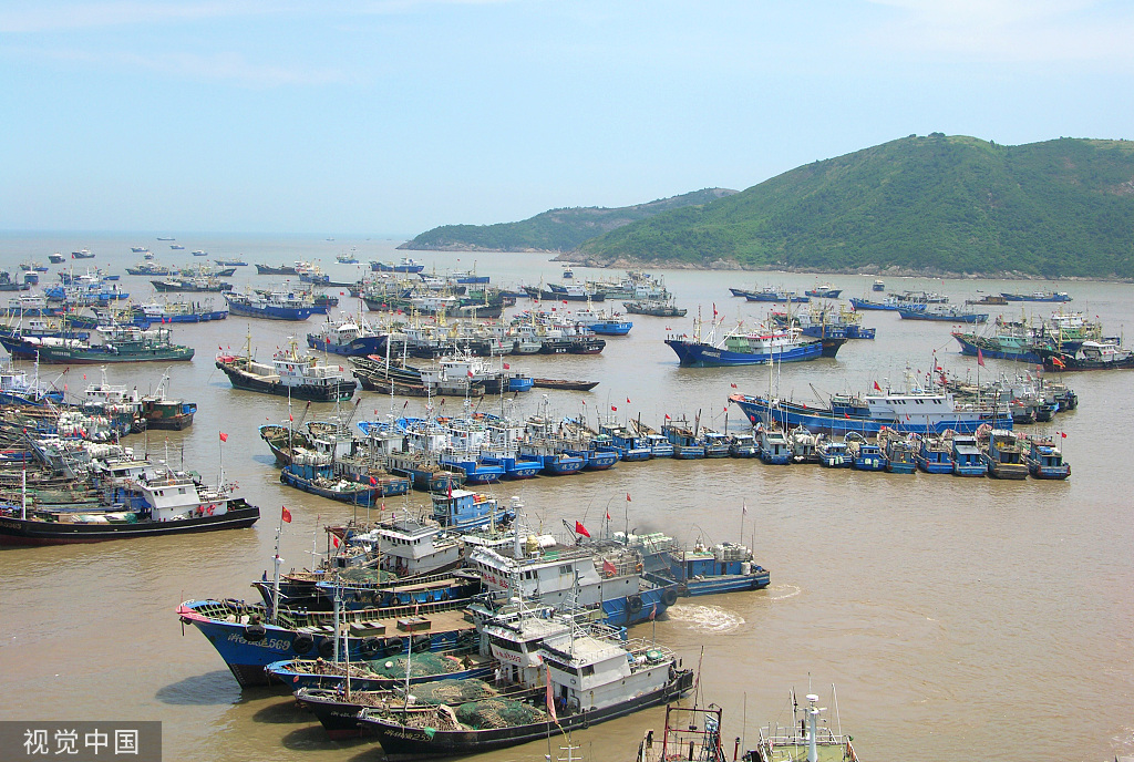 浙江台州：大批渔船回港休渔