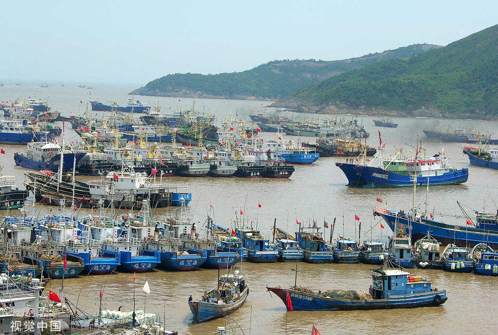 浙江台州：大批渔船回港休渔