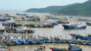 浙江台州：大批渔船回港休渔