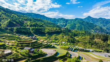 贵州从江：梯田景区举行“百牛同耕”传统仪式