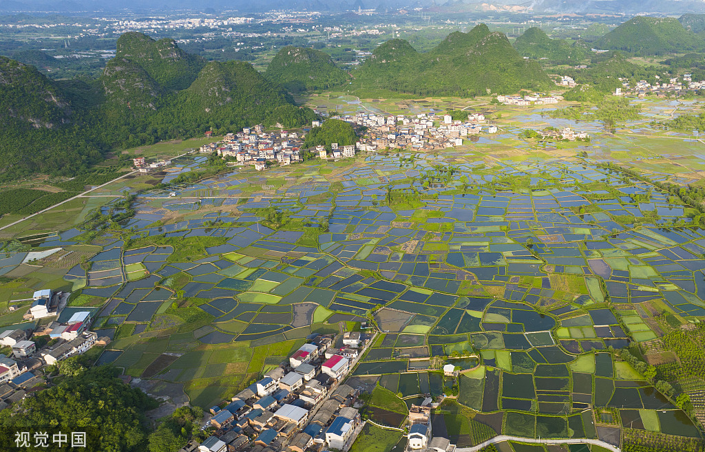 广西桂林：田埂交错 群山田野相映成景