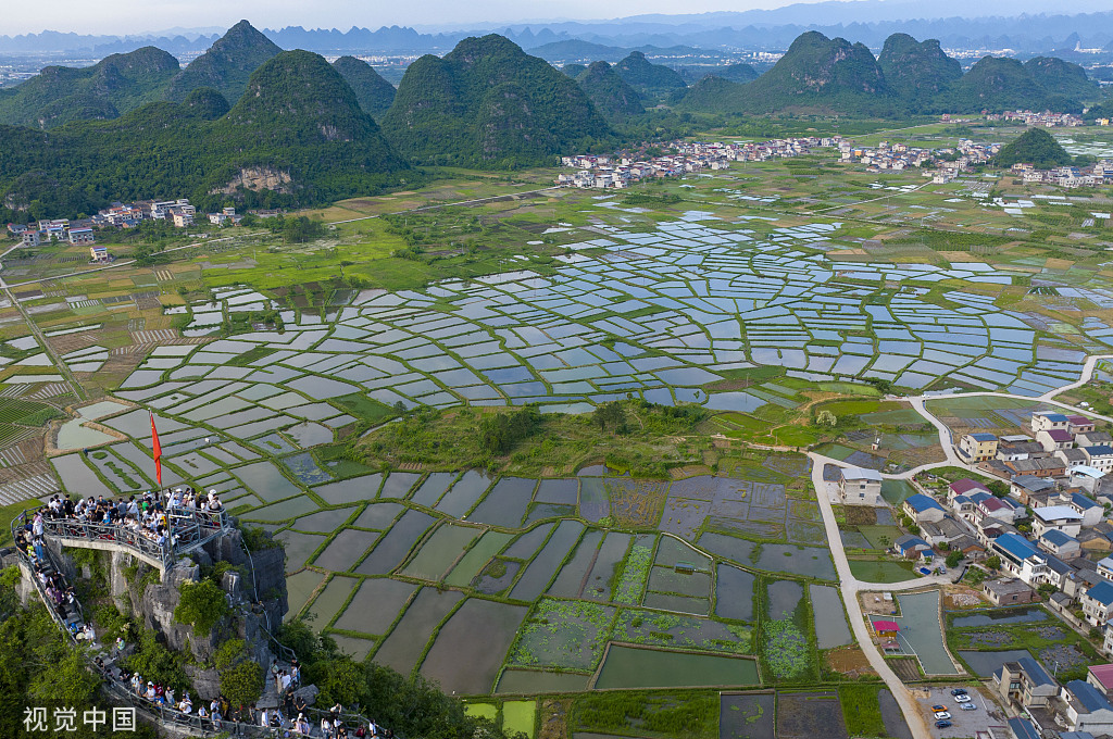 广西桂林：田埂交错 群山田野相映成景