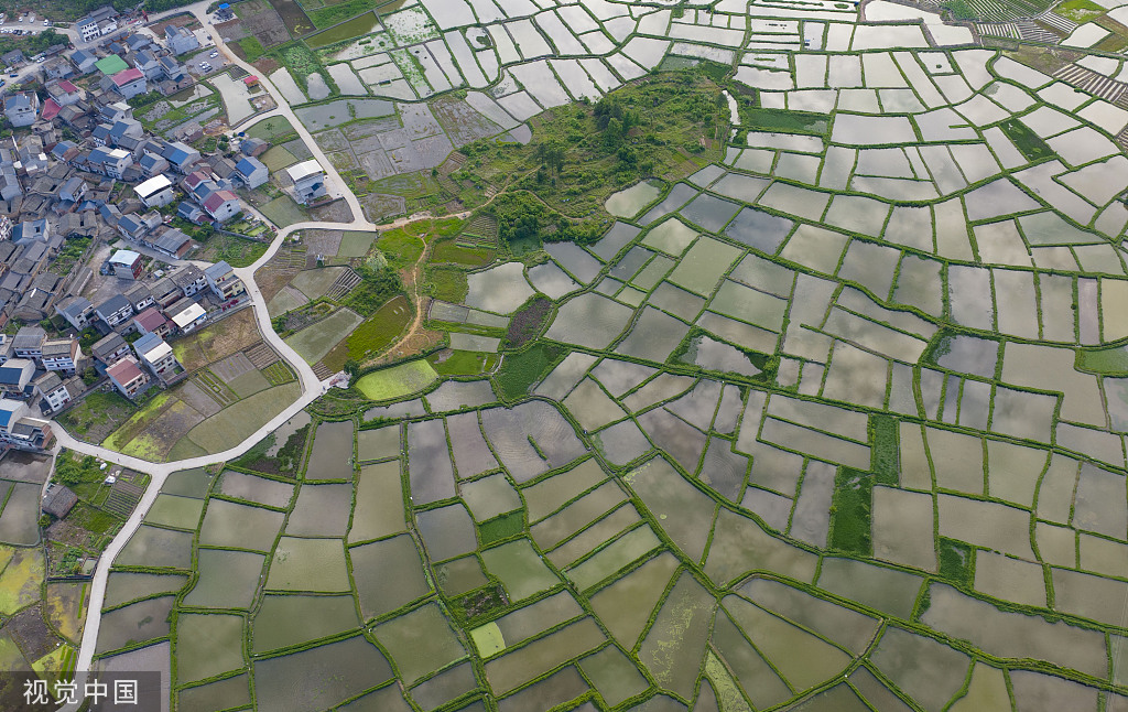 广西桂林：田埂交错 群山田野相映成景