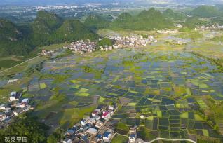 广西桂林：田埂交错 群山田野相映成景