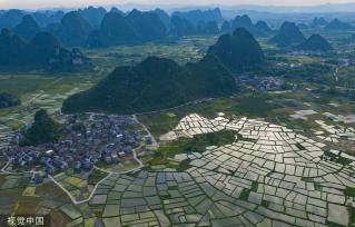 广西桂林：田埂交错 群山田野相映成景