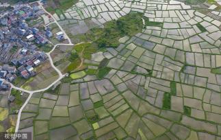 广西桂林：田埂交错 群山田野相映成景