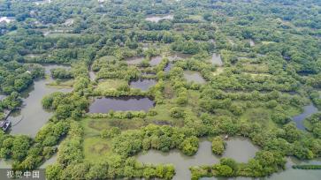 杭州：航拍西溪国家湿地公园 树木郁郁葱葱成景