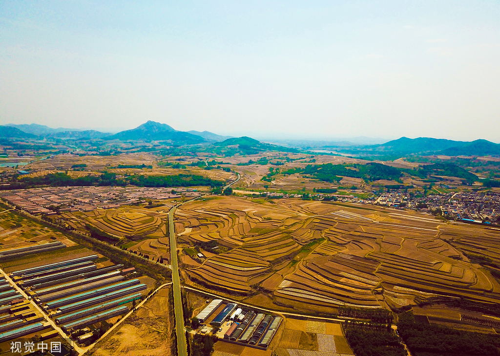 山东日照：航拍南湖梯田 犹如大地“指纹”