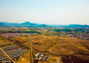 山东日照：航拍南湖梯田 犹如大地“指纹”