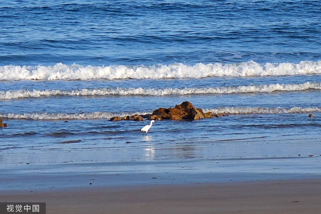 青岛：海水湛蓝 夏日海滨胜景宜人