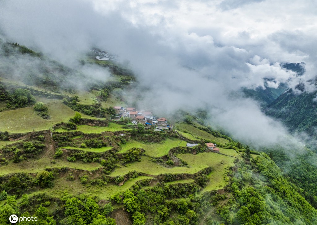 航拍四川阿坝奶子沟 层层起伏如林海